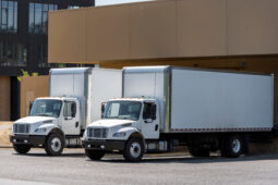 Three white trucks parked in a parking lot.