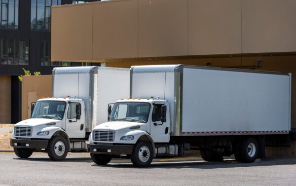 Three white trucks parked in a parking lot.